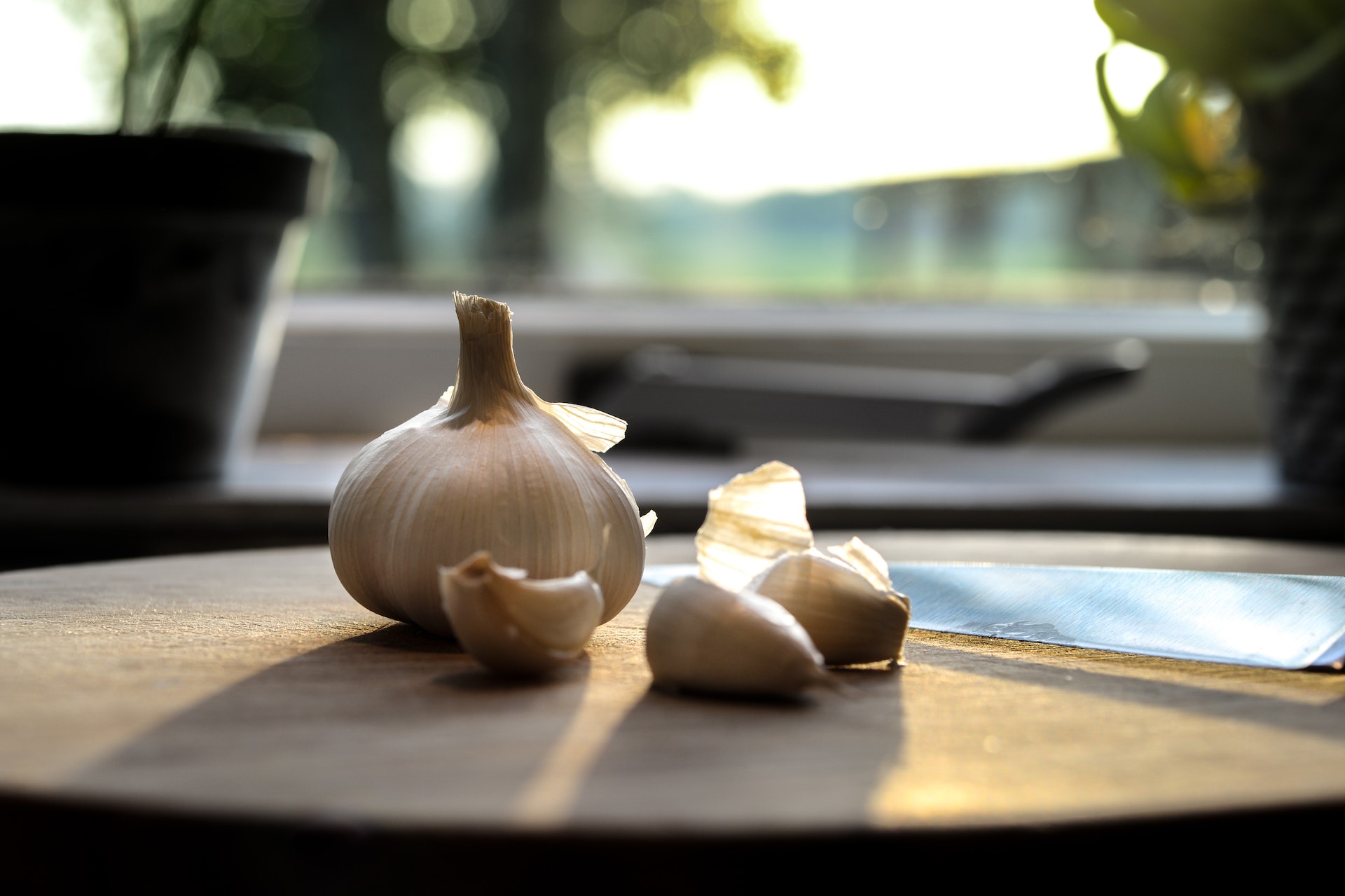 Discover the Story of Garlic for Your Wellbeing; Try it Today!
